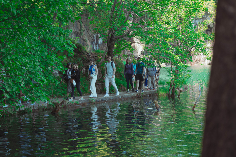 Zadar : Visite guidée des lacs de Plitvice avec billets