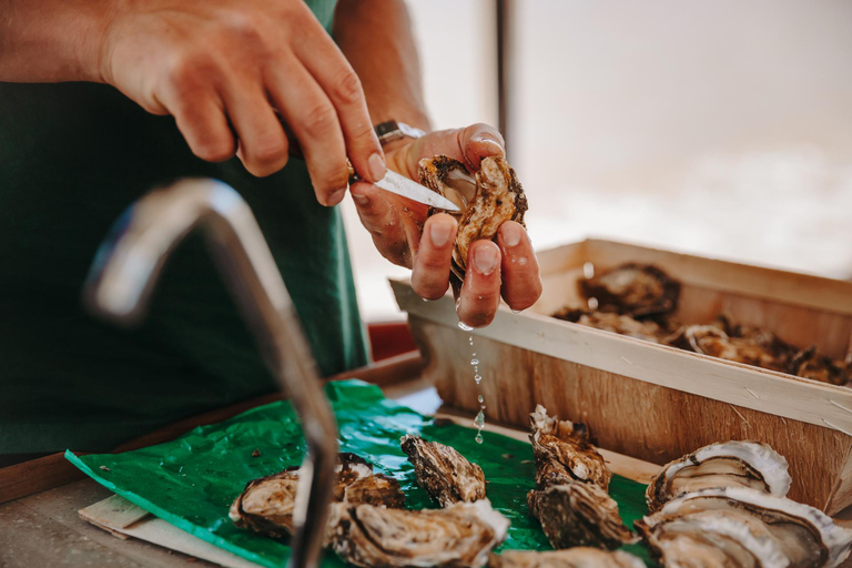 Bordeaux: Cruise on the Garonne with a meal