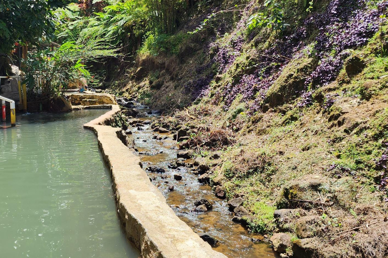 Roseau: Titou Gorge, Hot Spring, Falls & Champagne Reef Tour