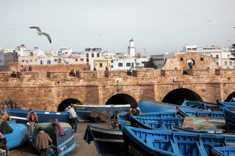 From Agadir : Day in Essaouira with Transfer Shared Group Experience