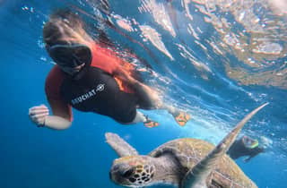 Tenerife: fai snorkeling tra le tartarughe