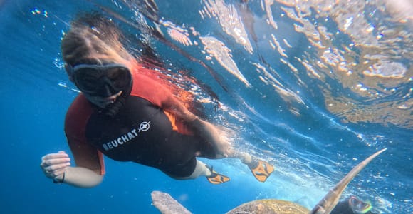 Sea turtle in Tenerife waters