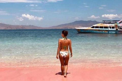 Labuan Bajo: Komodo National Park Speedboat Day Trip