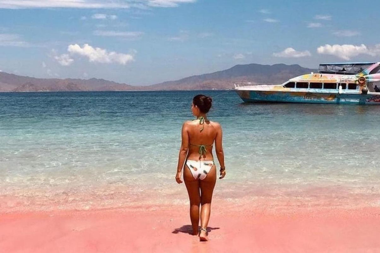 Labuan Bajo: Komodo National Park Speedboat Day Trip