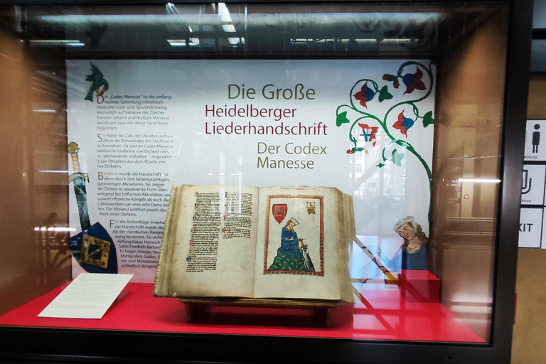 High Lights of Heidelberg - Private Tour of Castle and Town Heidelberg: All Inclusive Private Tour - Castle and Old Town