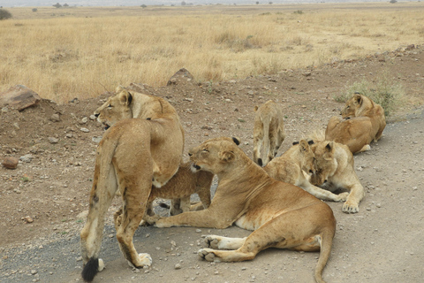 Private Nairobi National Park Drive in 4*4 landcruiser