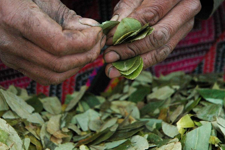 Fem dagars Ayahuasca-retreat i Cusco