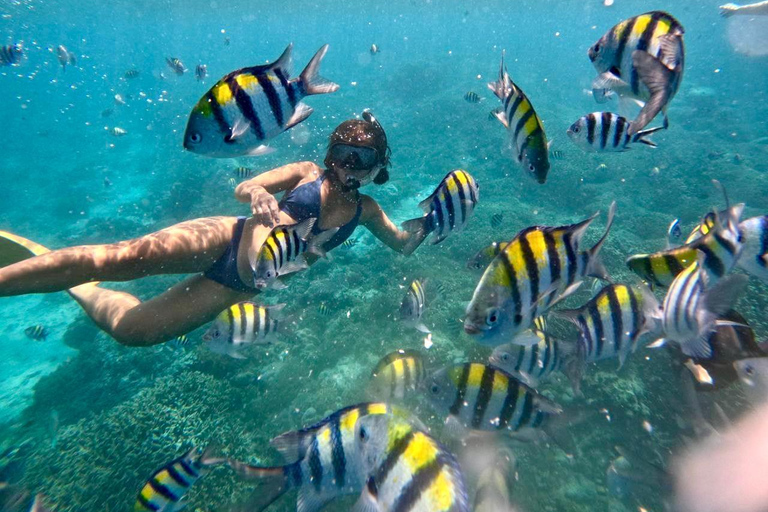 Private Snorkeling Trip To Gili Trawangan,Gili Meno,Gili Air Pick up from : Senggigi Area/Mataram Area