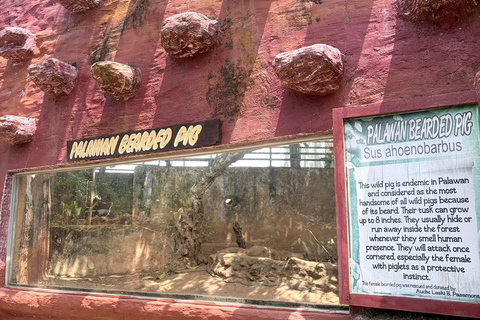 Puerto Princesa City Tour (History, Culture & Shopping)