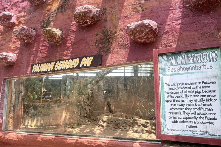 Puerto Princesa City Tour (History, Culture & Shopping)