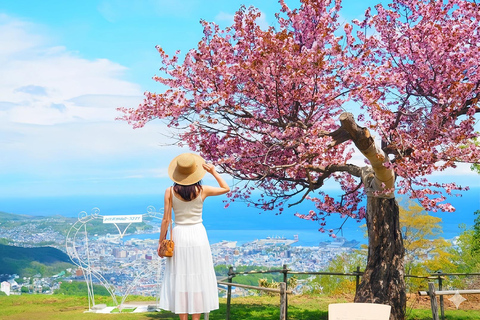 Hokkaido Cherry Blossom Limited:Cape Kamui&Temiya Day Tour Depart from the North Exit of JR Sapporo Station