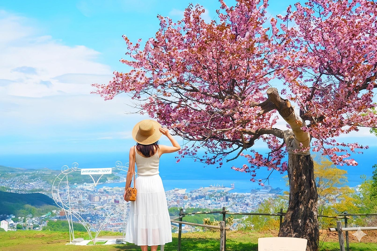 Hokkaido Cherry Blossom Limited:Cape Kamui&Temiya Day Tour Depart from the North Exit of JR Sapporo Station