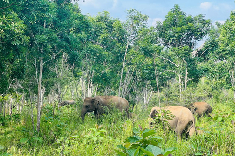 Sri Lanka: 5-Day Adventure with World Heritage Sites