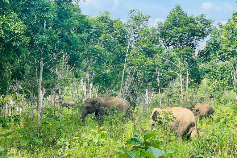 Sri Lanka: 5-Day Adventure with World Heritage Sites