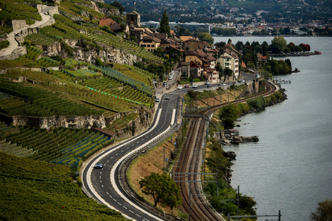 Lausanne Tour: City, Lavaux walk &amp; Olympic Museum/Ouchy