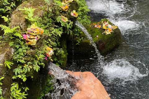 Ubud: Water Purification at Pura Mengening (All included) Group Experience meet at the temple