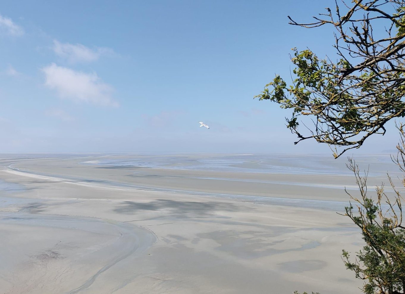 Mont-St-Michel: Guidet tur i lille gruppe med klosterbillet