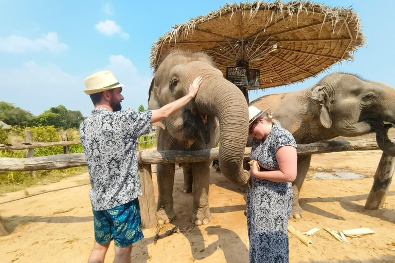 Siem Reap: Elephant Sanctuary Cambodia, Pickup and Drop Off