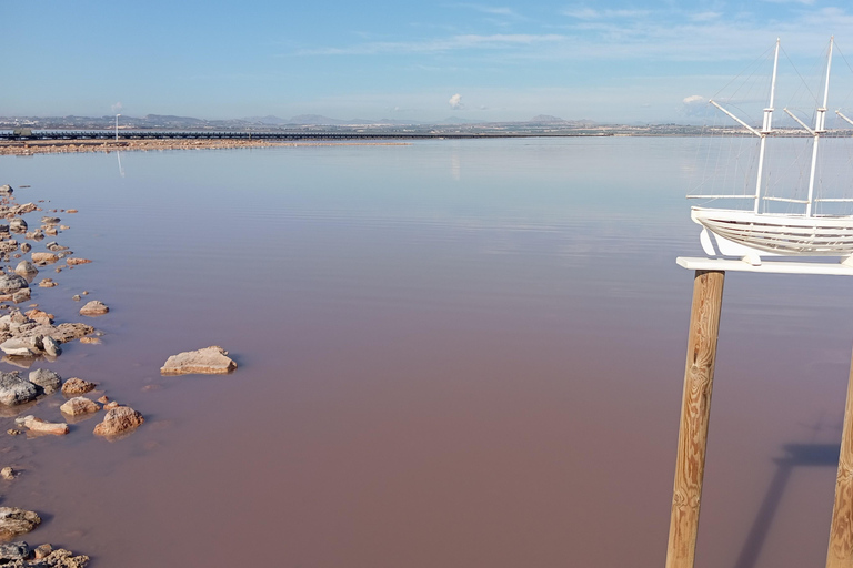 From Alicante and Torrevieja: Excursion to Tabarca, Santa Pola and Laguna Rosa Excursion in Spanish from Alicante