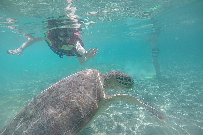 Private Snorkeling Tour GoPro Footage Costumize Tour Snorkeling Gili Trawangan, Gili Meno and Gili Air with GoPro