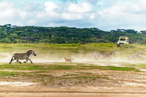 4-Days Group Safari Tour Tarangire, Serengeti & Ngorongoro 4-Days Group Safari Tarangire, Serengeti & Ngorongoro