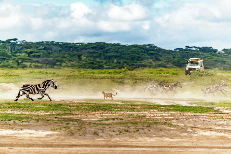 4-Days Group Safari Tour Tarangire, Serengeti & Ngorongoro 4-Days Group Safari Tarangire, Serengeti & Ngorongoro
