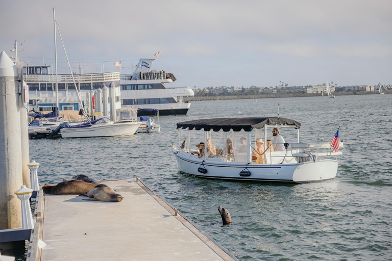 Los Angeles: Sea Lions Watching Cruise 90 Min Sea Lions Adventure Cruise