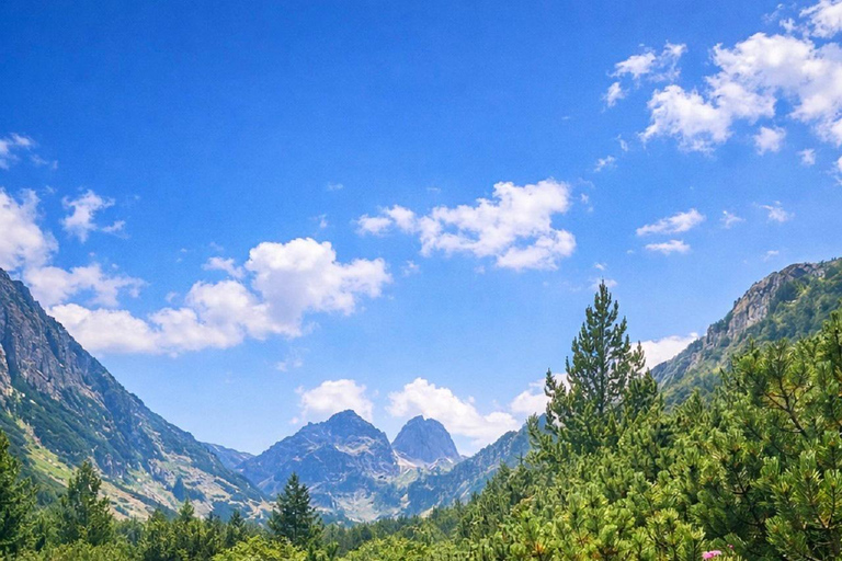 From Sofia: Rila Mountain - Easy Hike & Optional Local Lunch From Sofia: Rila Mountain - Shared Group Option