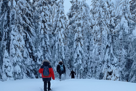 Da Helsinki: Tour gastronomico del parco nazionale di Nuuksio