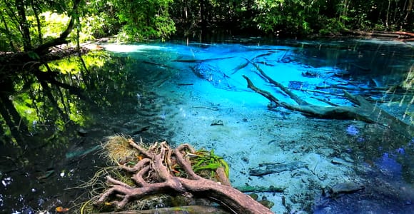 Krabi: Emerald Pool and Hot Springs Waterfall Half-Day Trip