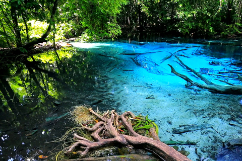 Krabi: viagem de meio dia à piscina esmeralda e cachoeira de fontes termais