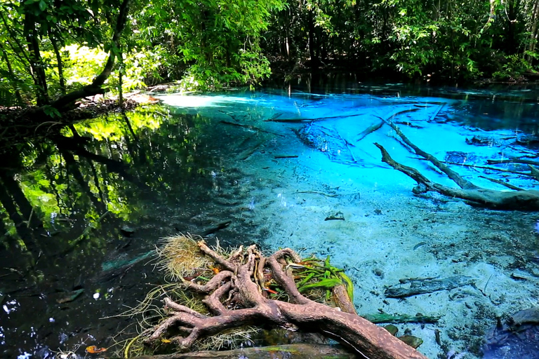 Krabi: viagem de meio dia à piscina esmeralda e cachoeira de fontes termais