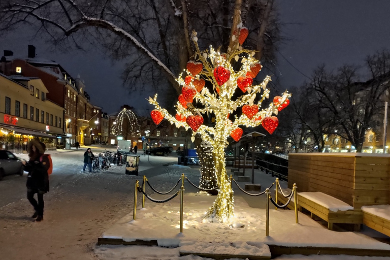 Stockholm: Privat magisk svensk julturné 2h