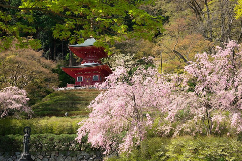 Osaka: Katsuoji Temple Guided Tour with Bus Transfer Private Tour in English with Meeting Point