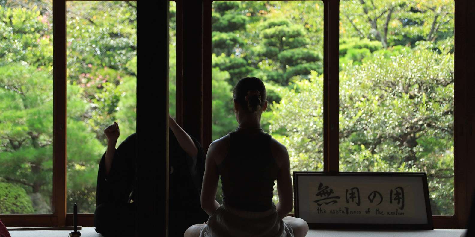 Kyoto experience — temples, geisha, bamboo grove — image 7