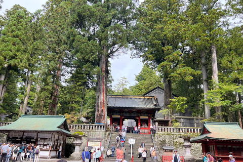 Nikko Private Tagestour mit englischem Fahrer-Guide