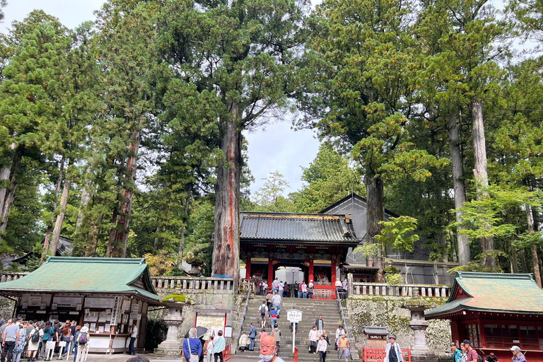 Excursión privada de un día a Nikko con conductor-guía en inglés