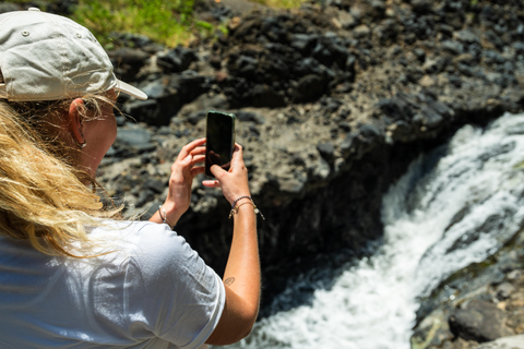 Arusha stad, Chemka HotSpring, Materuni waterval, koffietour