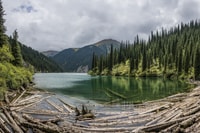 Lakes Kolsai and Kaiyndy 2 days - Housity