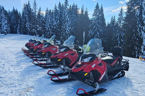 ATV or Snowmobile Mountain Tour from Bucharest