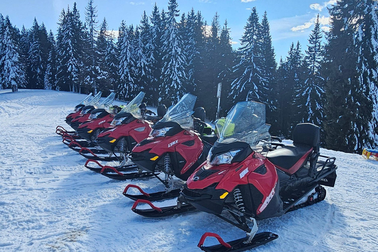 ATV or Snowmobile Mountain Tour from Bucharest