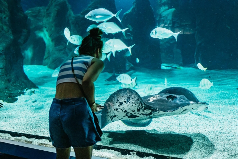 Lanzarote: Bilet wstępu do akwarium