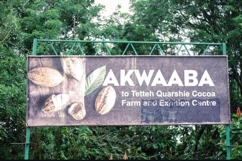 Accra: Cocoa Farm &amp; Waterfalls Tour