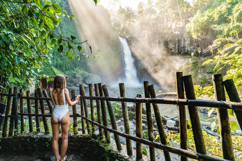 Ubud: Tour privato delle cascate, delle terrazze di riso e della foresta delle scimmieTour di Ubud con pranzo