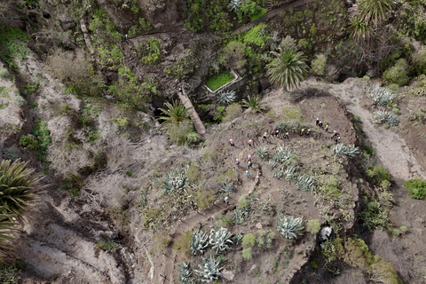 Tenerife: Descent of the Masca Ravine with Audio Guide and Boat Transfer Tenerife: Masca Canyon Descent with Audio Guide and Boat Transfer