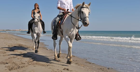 Side: Forest and Beach Horse Riding Safari with Pickup