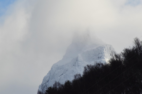 Abisko: Private Fjord Sightseeing and Photography tour