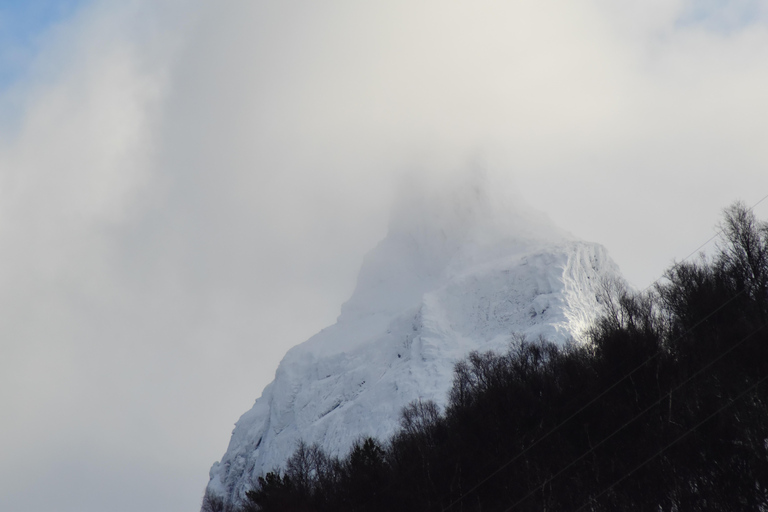 Abisko: Private Fjord Sightseeing and Photography tour