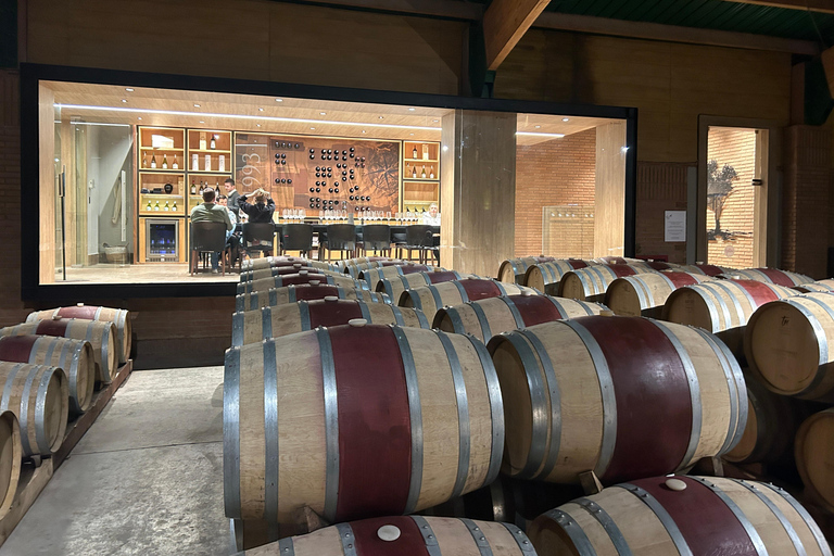 Casablanca | Wine tasting tour