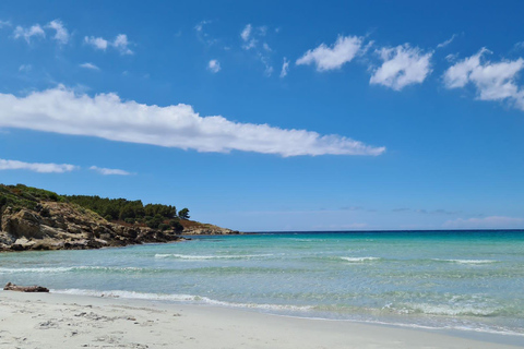Bastia: Embark on an Adventure with Our 4x4 Tour, Departing from Furiani Private: Embark on an adventure with our 4x4 excursion, departing from Furiani